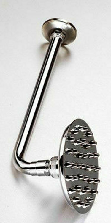 Picture of Gio Shower Rose  in (Chrome)